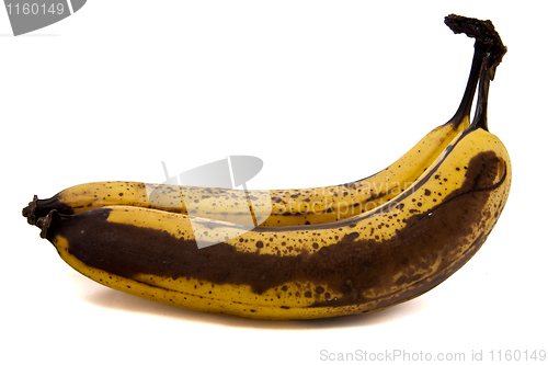 Image of Two old bananas