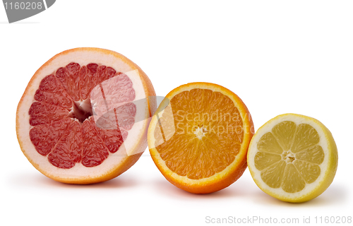Image of grapefruit, orange and lemon