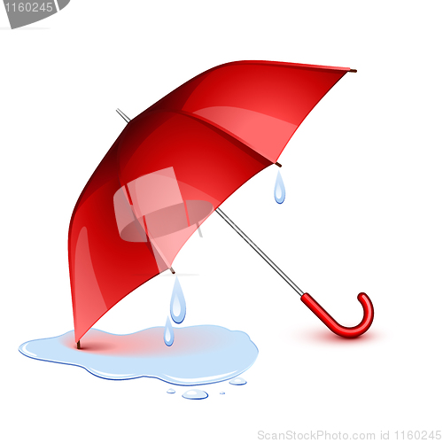 Image of Wet umbrella