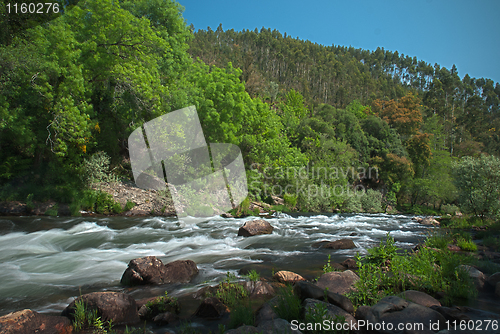 Image of River water stream