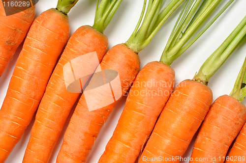 Image of Carrots on White