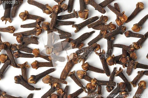 Image of Clove on White