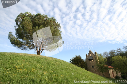 Image of Strange tree and church