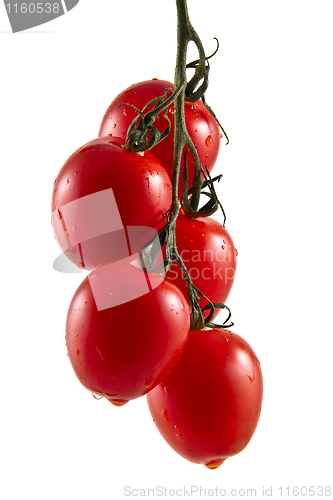 Image of Five hanging truss tomatoes