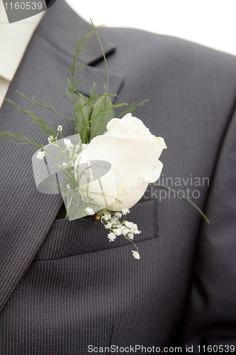 Image of rose in his lapel of his jacket the groom