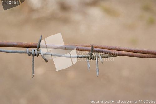 Image of Barbed wire