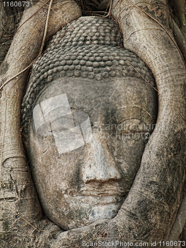 Image of Buddha head