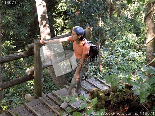 Image of Hiking in a forest