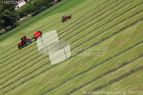 Image of Mowing grass