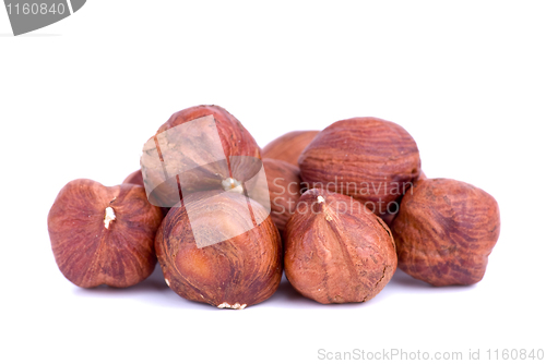 Image of Close-up shot of some hazelnuts