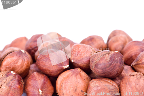 Image of Some hazelnuts