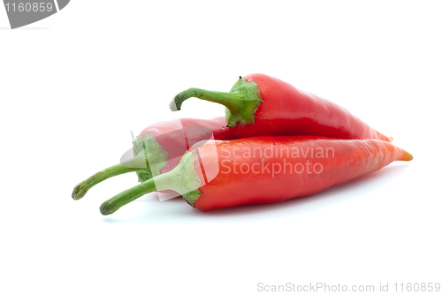 Image of Three red hot peppers