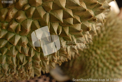 Image of Durian