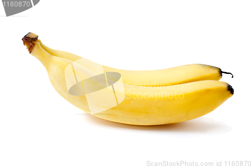 Image of Two bananas