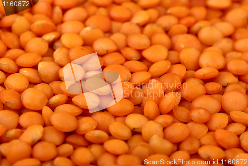 Image of Red "football" lentils