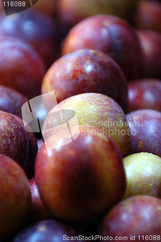 Image of Sweet Plums