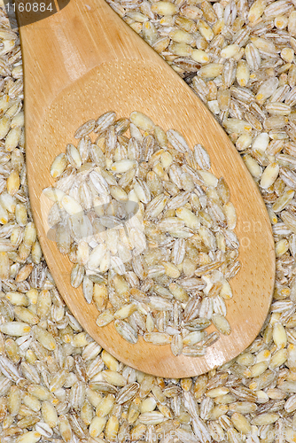 Image of Wooden spoon with uncooked pearl barley