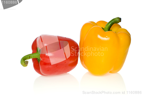 Image of Red and yellow sweet peppers