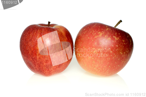 Image of Two red apples of different breeds