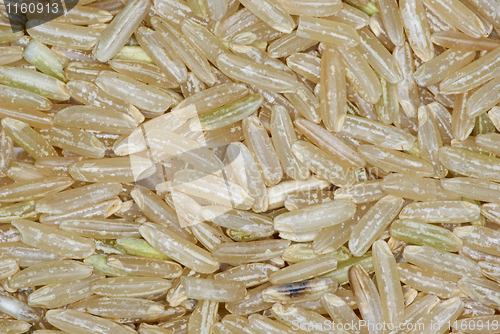Image of Cooking ingredients: Brown rice close-up