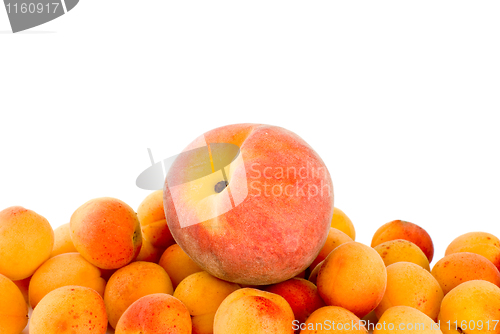 Image of Red peach over the pile of apricots