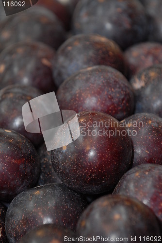 Image of Dark plums