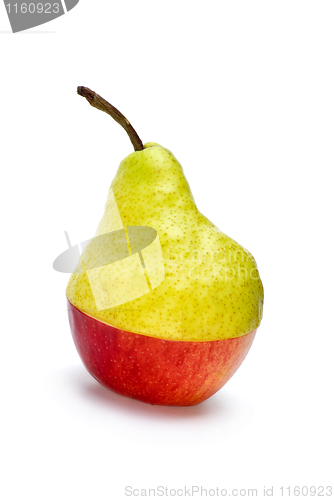 Image of Half-Aple-and-half-pear "hybrid" 