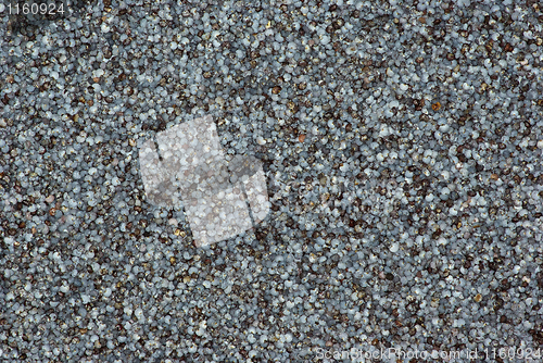 Image of Cooking ingredients - poppy seeds close-up