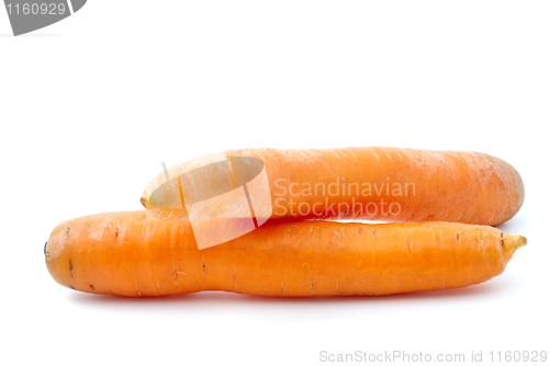 Image of Two carrots