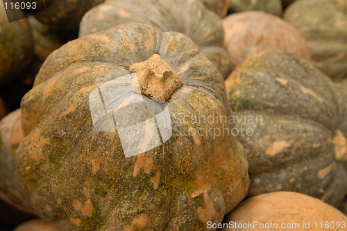 Image of Pumpkin