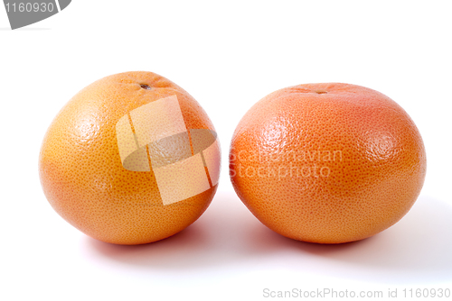 Image of Two orange grapefruits