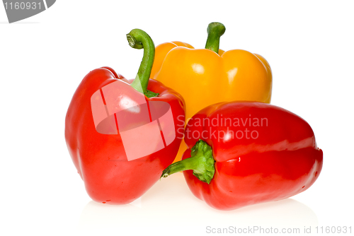 Image of Three sweet peppers