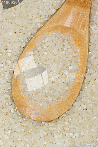 Image of Wooden spoon with uncooked polished rice