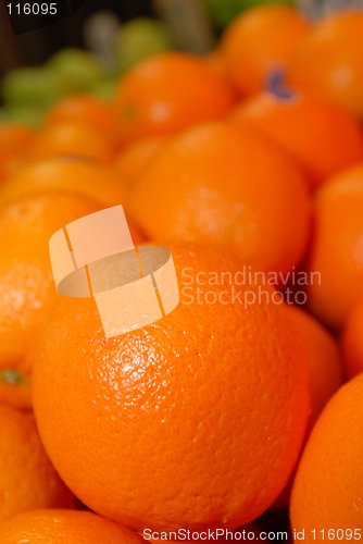 Image of Oranges