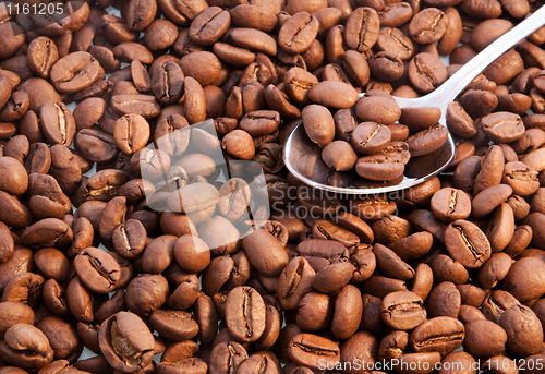 Image of Coffee beans closeup