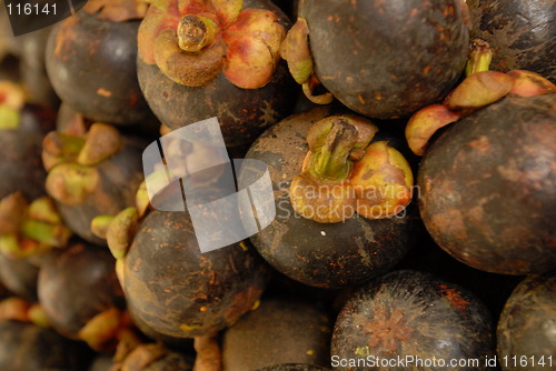 Image of Mangoesteens