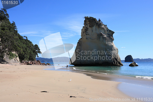 Image of New Zealand beach