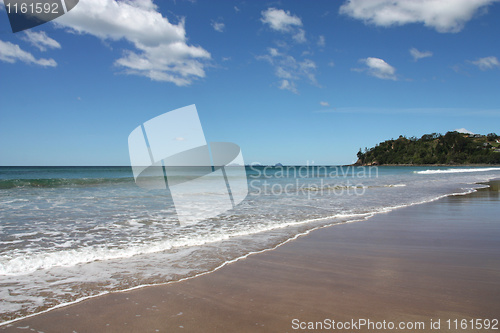 Image of New Zealand beach