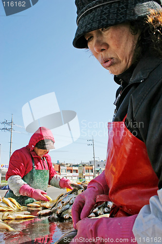 Image of Fishing woman