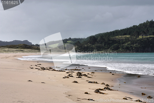 Image of New Zealand beach