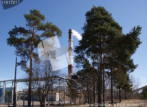 Image of Pipe and trees