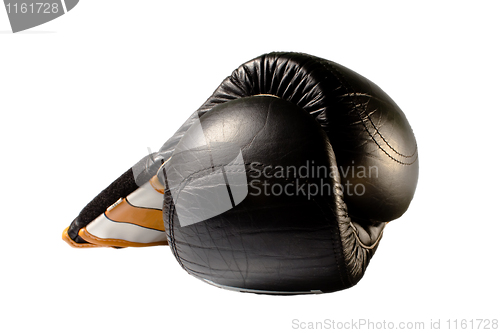 Image of Boxing gloves