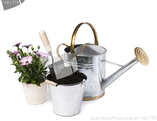 Image of Gardening