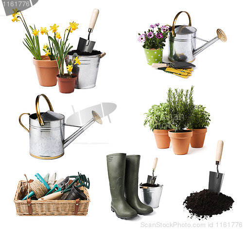 Image of Gardening