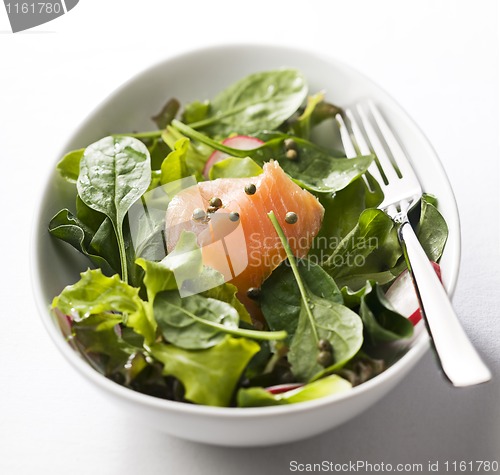 Image of Salmon salad