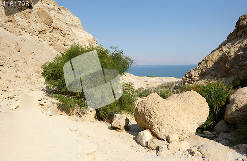 Image of Ein Gedi Nature Reserve