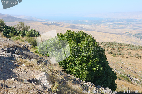 Image of South shore of Lake Kinneret