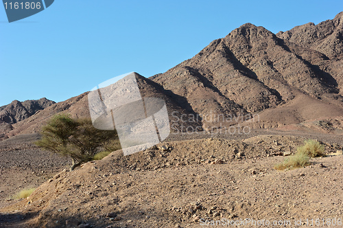 Image of Timna National Park