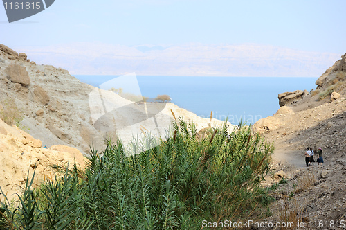 Image of Ein Gedi Nature Reserve