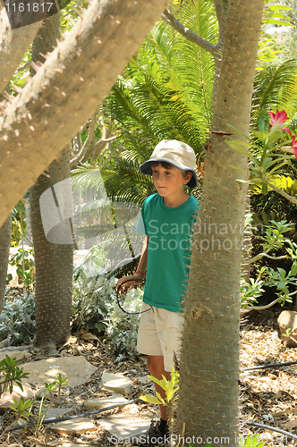 Image of The boy in the botanical garden